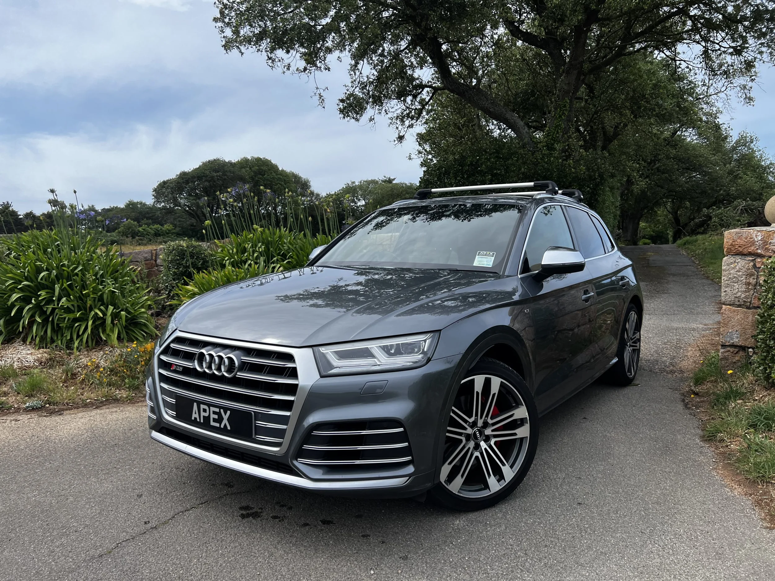 2018 Audi SQ5 — photo 1