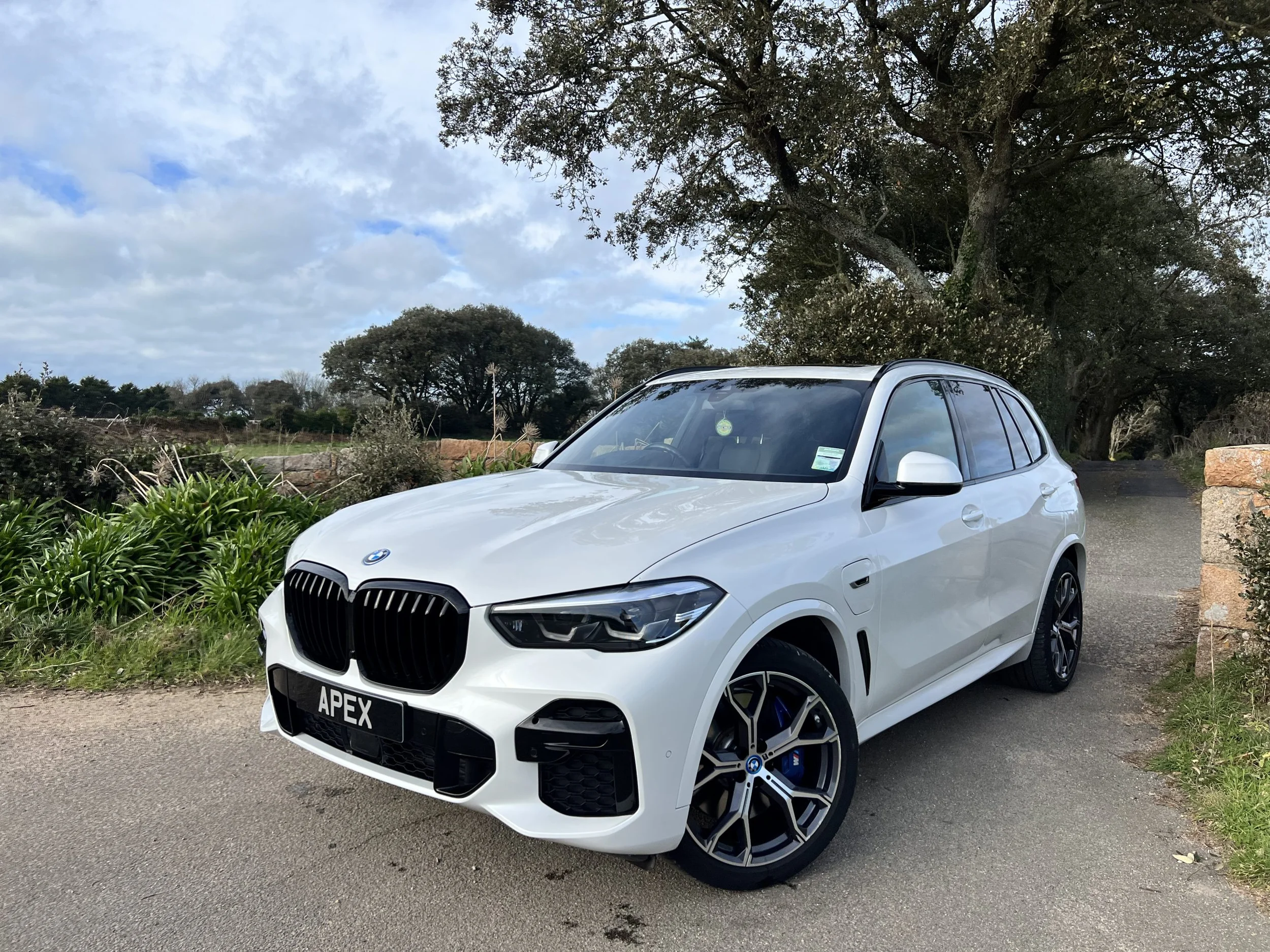 2021 BMW X5 xDrive45e — photo 1