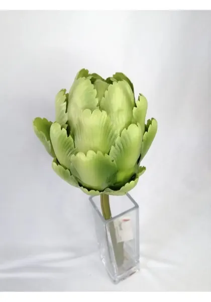 Vara de alcachofa 42 cm largo, verde y morada