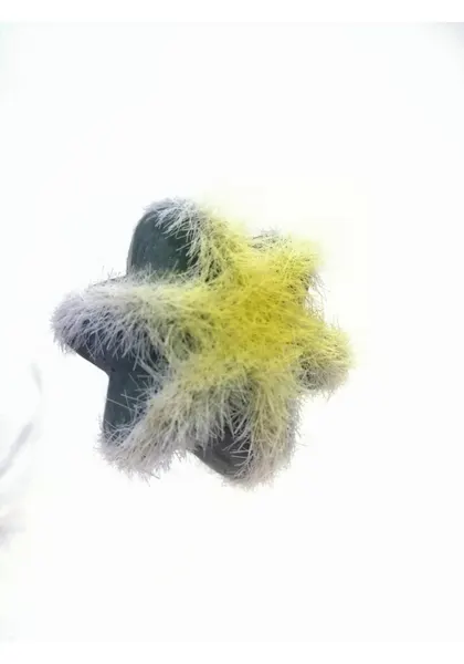 Cáctus lomo peludo 13 cm altura