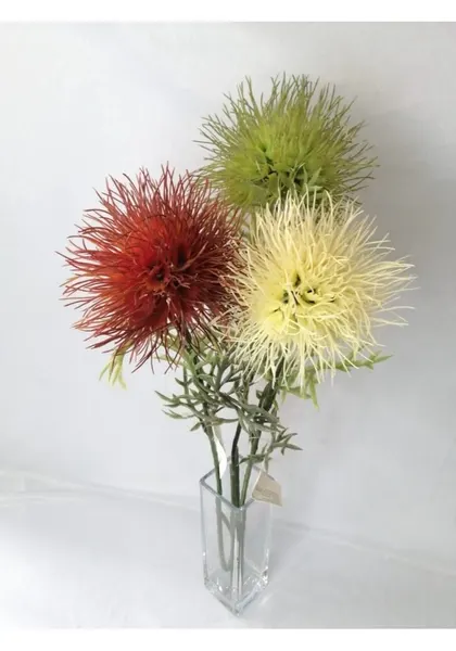 Centaurea 64 cm, varios colores