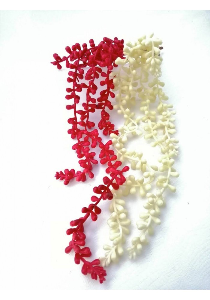 Colgante de suculenta 50 cm blanco y rojo
