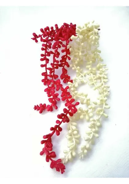 Colgante de suculenta 50 cm blanco y rojo