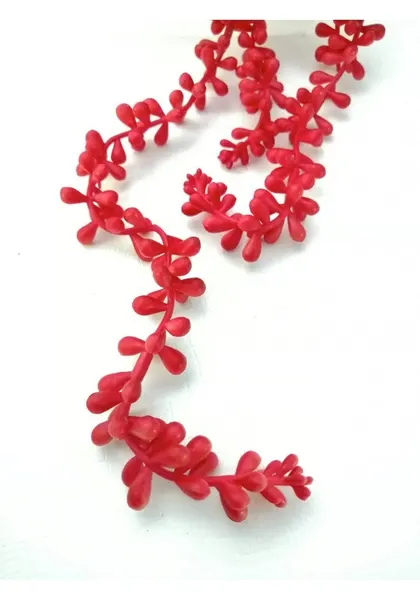 Colgante de suculenta 50 cm blanco y rojo