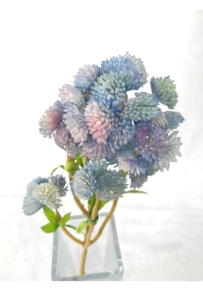 Follaje de brocoli, varios colores