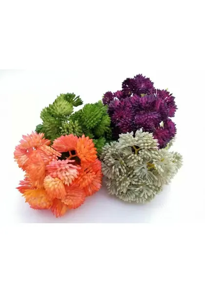 Follaje de brocoli, varios colores