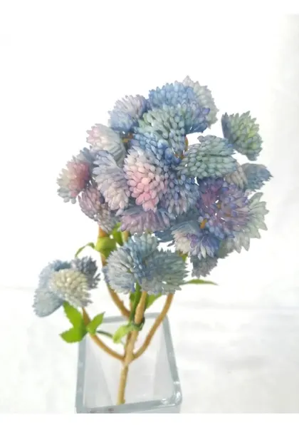 Follaje de brocoli, varios colores
