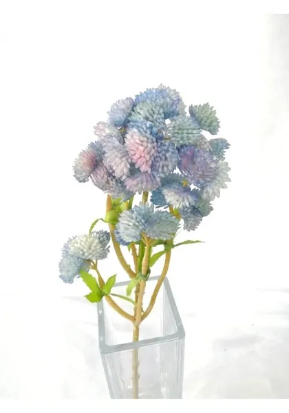 Follaje de brocoli, varios colores