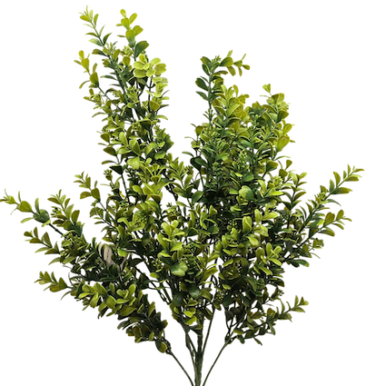 Vara frondosa boxwood 78cm