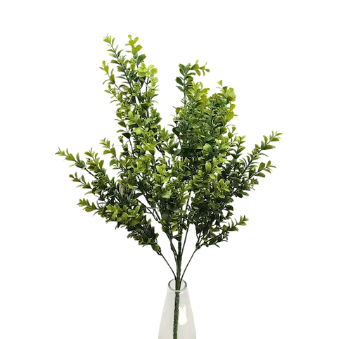 Vara frondosa boxwood 78cm