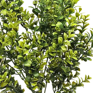 Vara frondosa boxwood 78cm