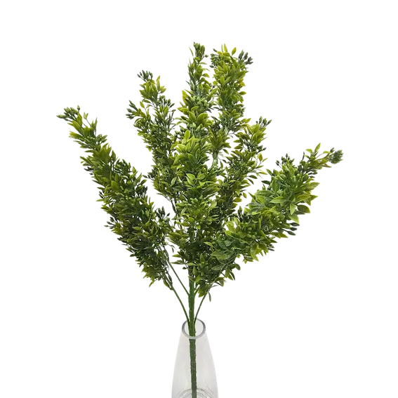 Vara frondosa ruscus aculeatus 78cm