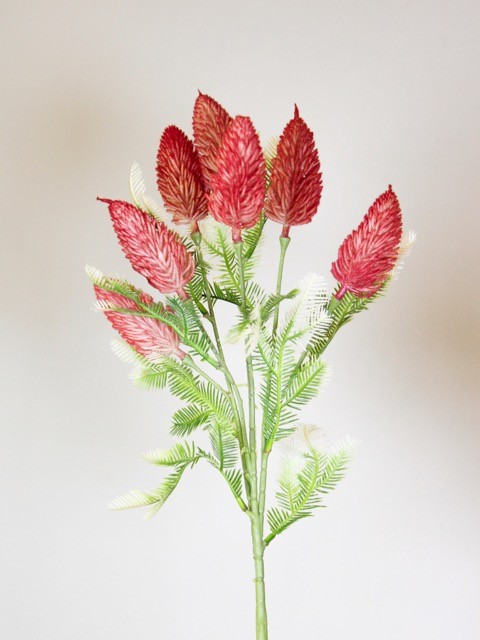Vara de crimson 65cm, tres colores