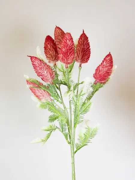 Vara de crimson 65cm, tres colores