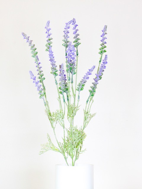 Vara de lavanda de 50cm altura