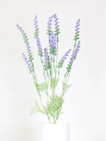 Vara de lavanda de 50cm altura