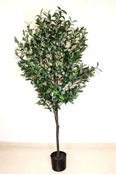 Arbol de olivo 160cm altura con maceta