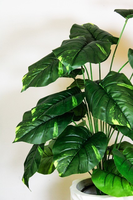 Planta verde deluxe 105cm altura (sin maceta)