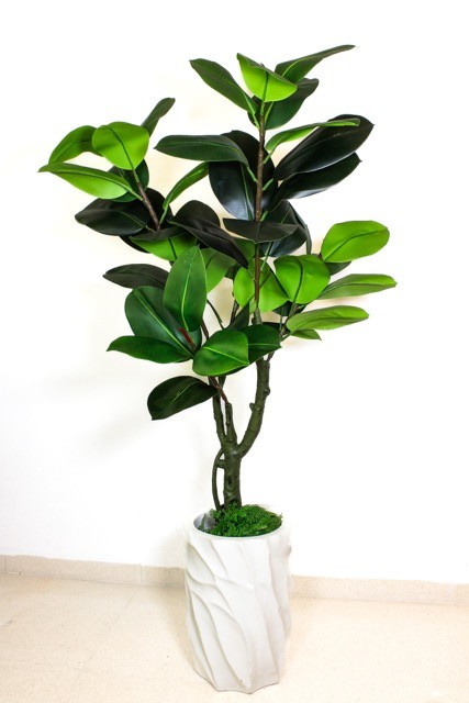 Planta de hule 130cm (sin maceta)
