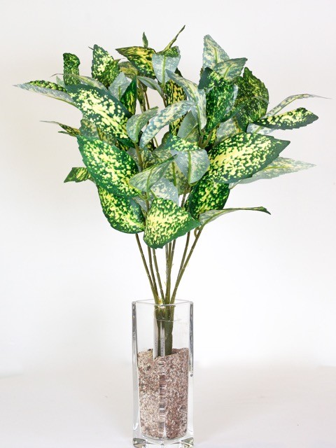 Follaje Laurel Japones 43cm