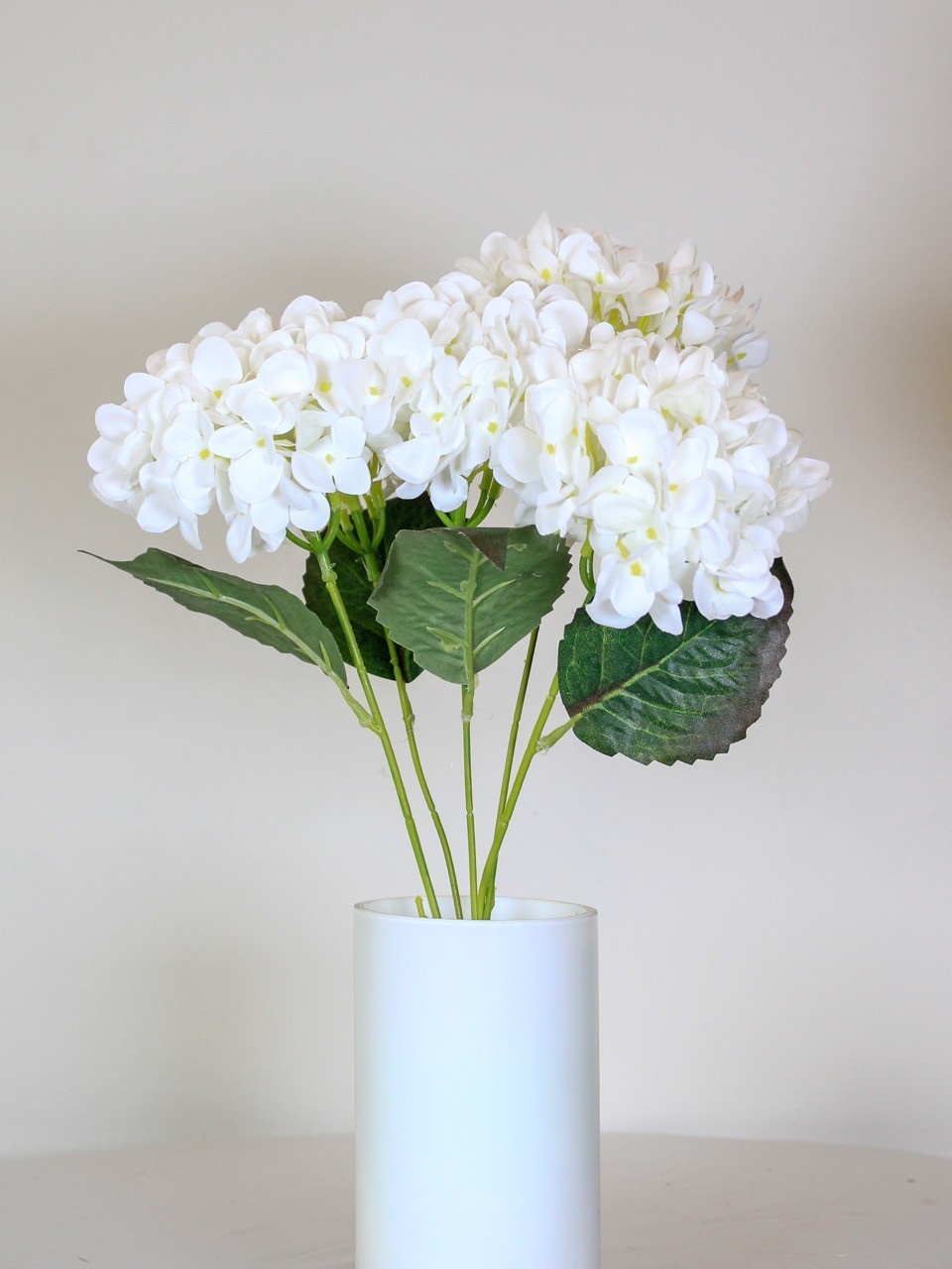 Ramo de hortensia blanca Nova
