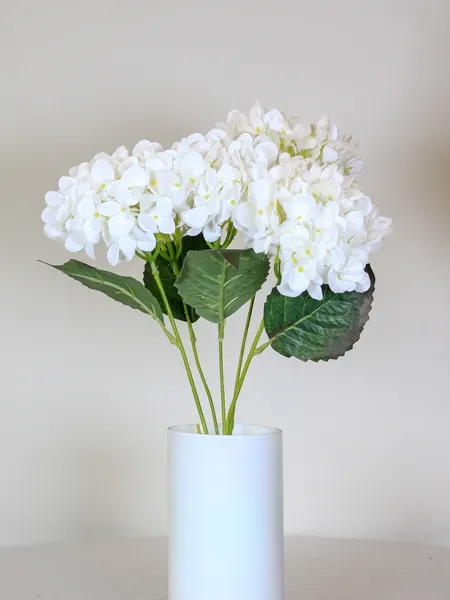 Ramo de hortensia blanca Nova