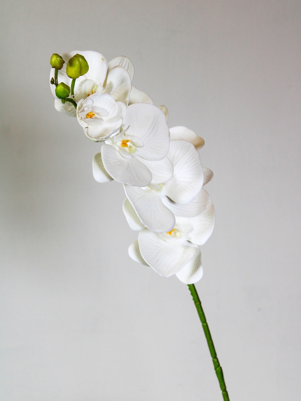 Orquidea con textura 75cm