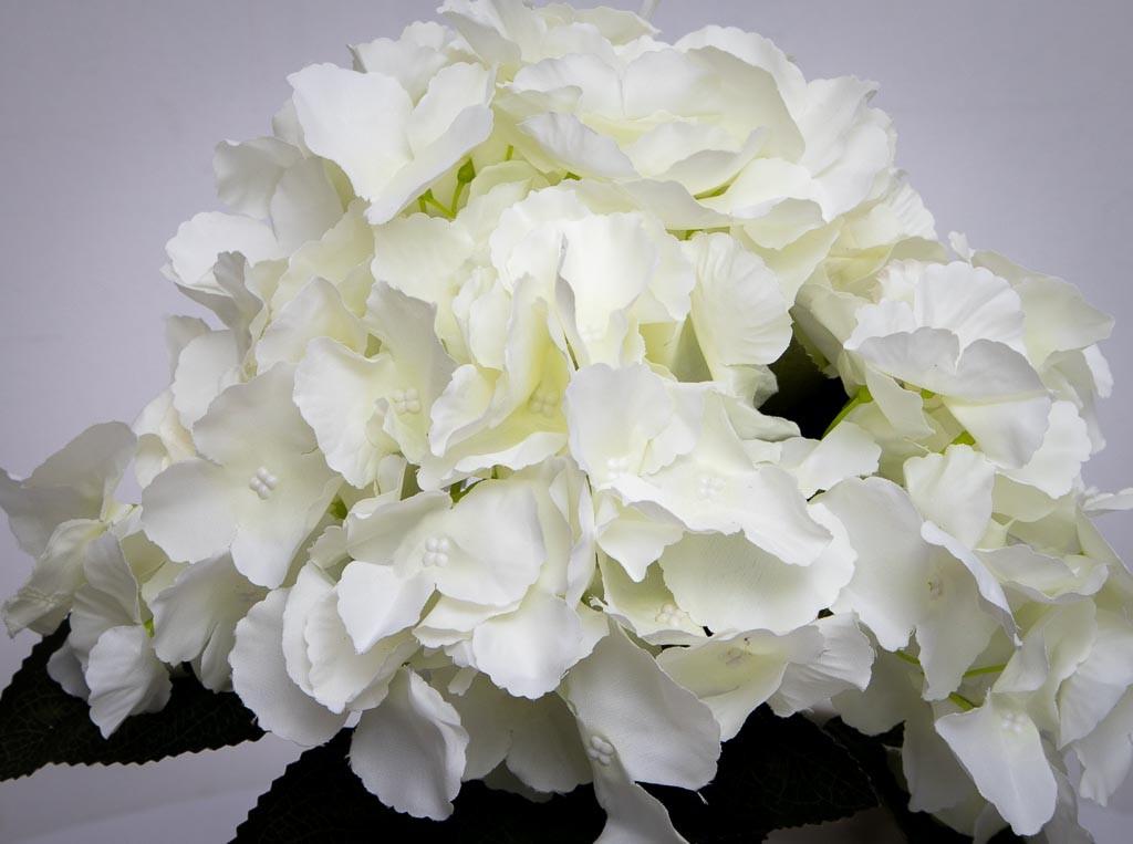 Ramo de hortensia Nopsi 47cm, dos colores