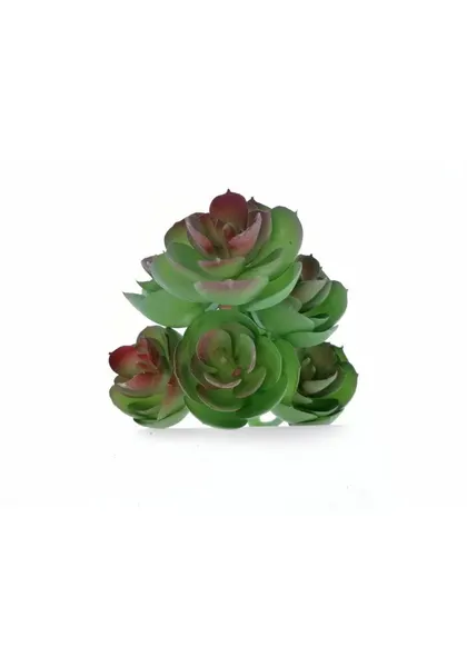Suculenta con siete echeverrias 20 cm de altura