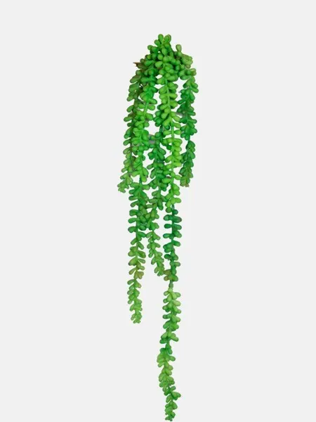 Colgante de suculenta soft touch 75cm, dos tonalidades