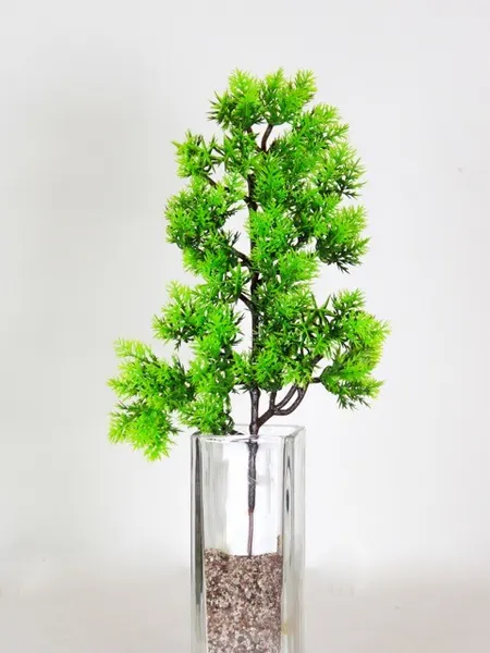 Follaje bonsai Asparagus 33cm