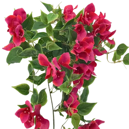 Colgante bugambilia 60cm, dos tonalidades