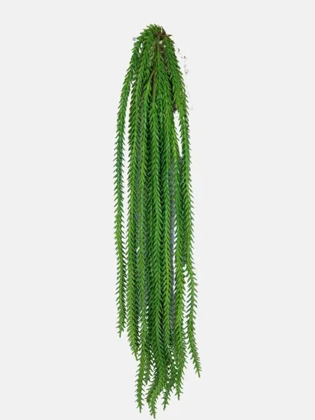 Colgante Huperzia 65cm