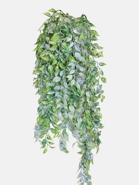 Colgante murraya 75cm