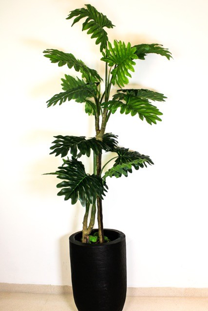 Árbol Shelloum imperial 160cm
