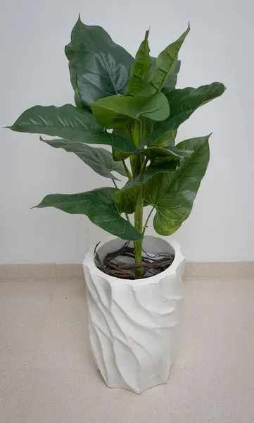 Planta hoja elegante 85cm