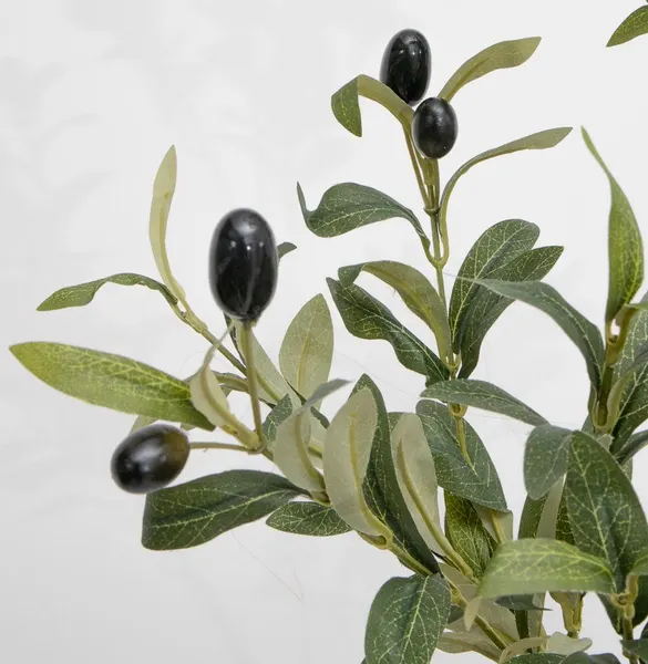 Vara de follaje de olivo con frutos de 100cm