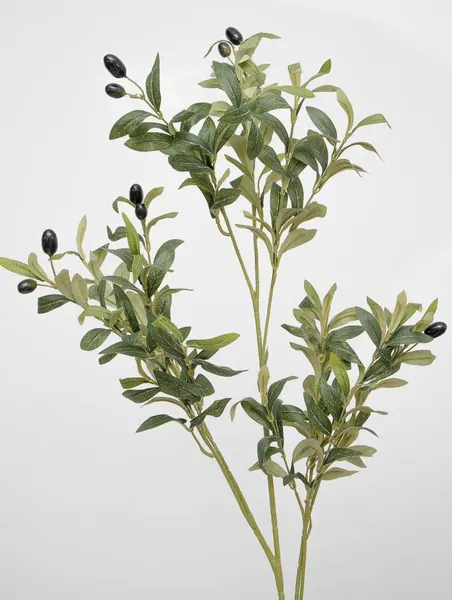Vara de follaje de olivo con frutos de 100cm