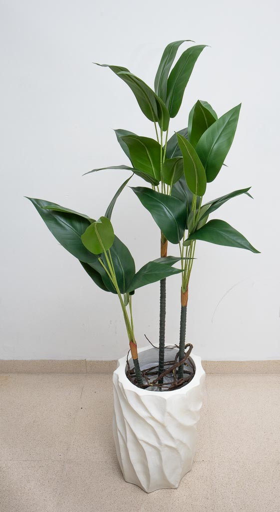 Planta cuna con 3 varas de hojas 120cm