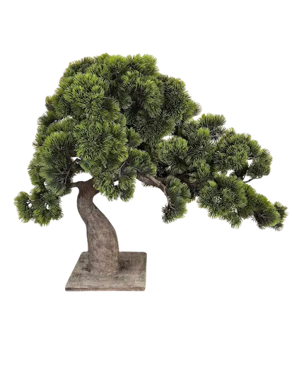 Arbol bonsai