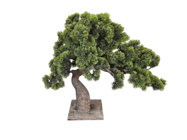 Arbol bonsai