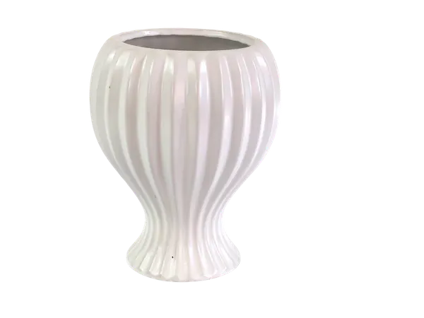 Base Lineal Blanca