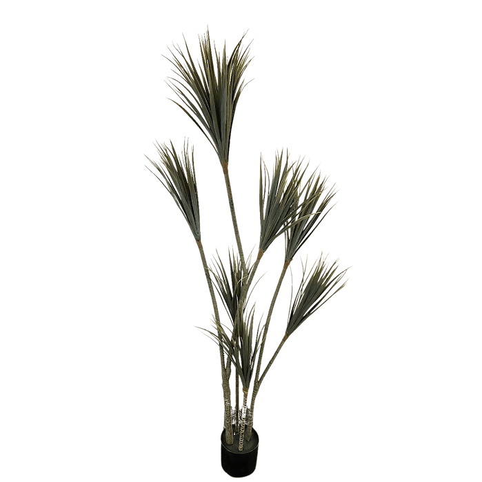 Dracaena apariencia natural 170cm