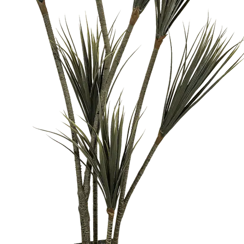 Dracaena apariencia natural 170cm