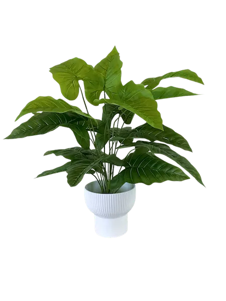 Planta Hoja Elegante Puntiaguda 65 cm