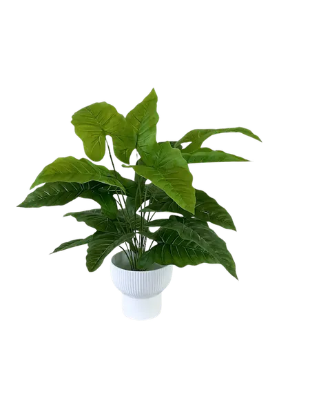 Planta Hoja Elegante Puntiaguda 65 cm