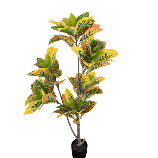 Arbol crotos 140cm