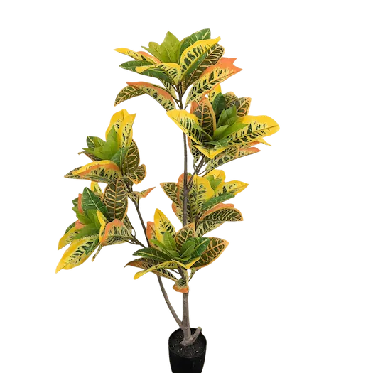Arbol crotos 140cm