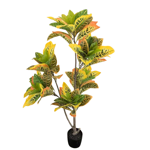 Arbol crotos 140cm