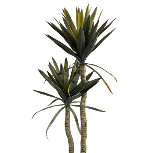 Yuca Doble 135cm